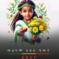 Yonas Haileyesus