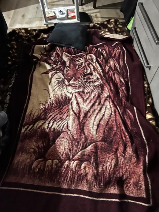 Joshua Michael Medina