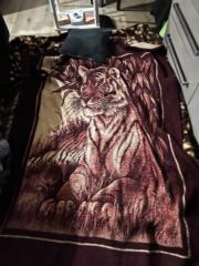 Joshua Michael Medina