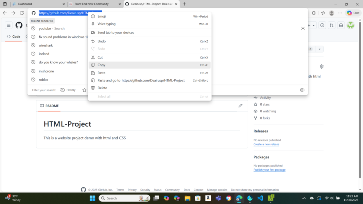 Adding website demo to GitHub Repo