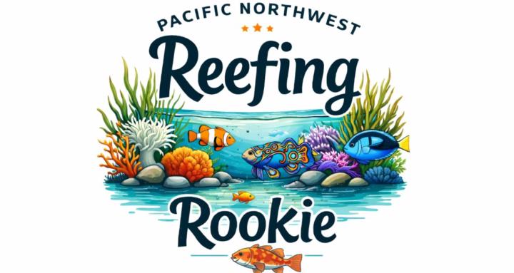 ReefingRookie
