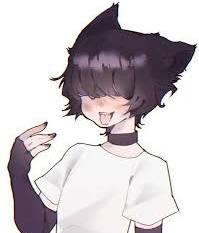 Sunie Follen-Attkins