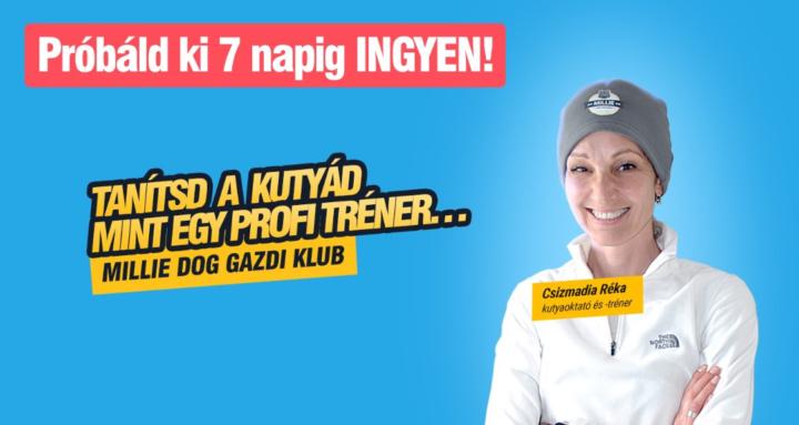 Millie Dog Gazdi Klub