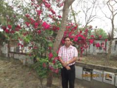 Partha sarathi Bhattacharya