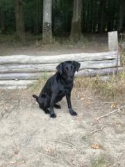 Karen Chislett-Bruce