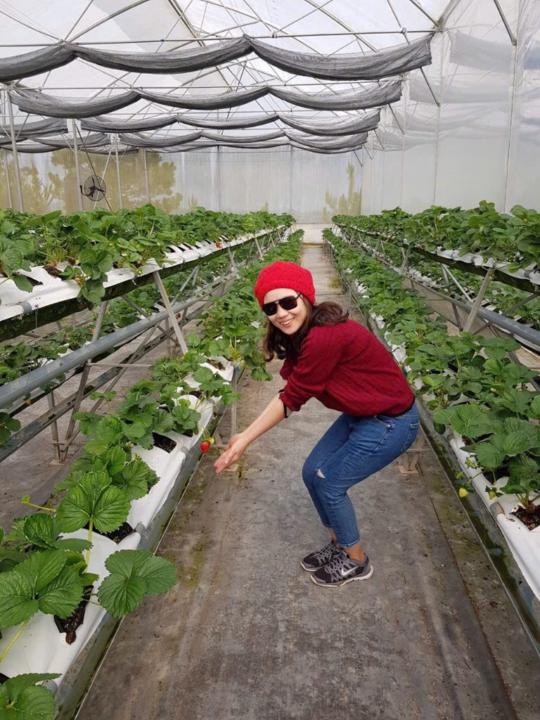 Nguyễn Thị ngọc Giau