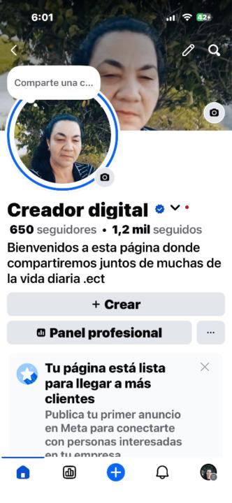María E Rodríguez