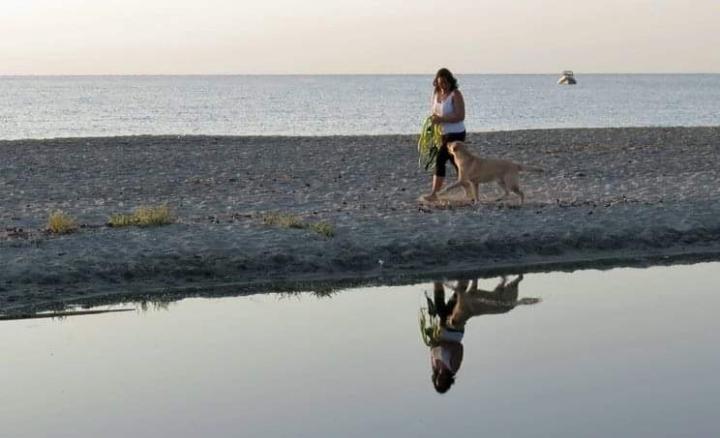 Sandra Schwarzl-Moussong