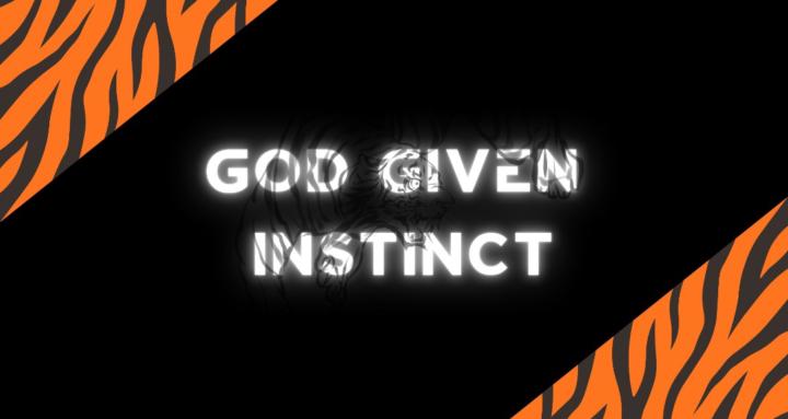Tiger instinct