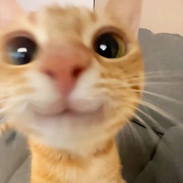 Salam!