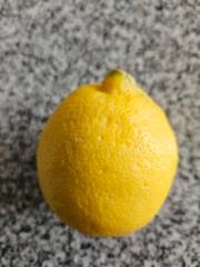 Brigitte Hasselblatt