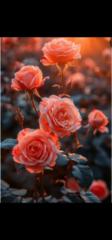 Saras Wathy