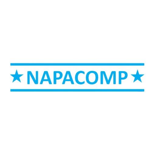 Napacomp Việt nam