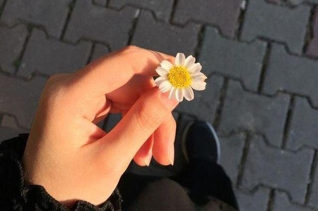 Özcan Artim