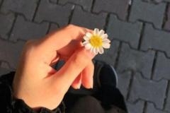 Özcan Artim