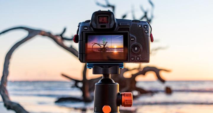 The Photography Workshop