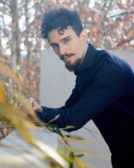 Mauro Morelli