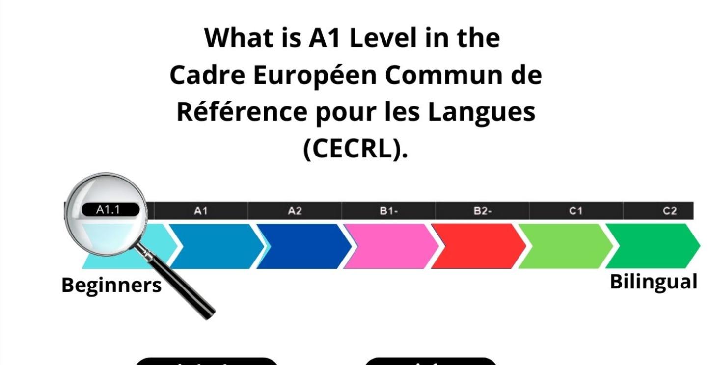 Understanding what Level A1 is.