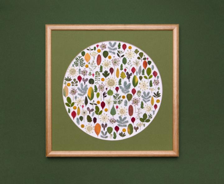 Violetta Chmielewska