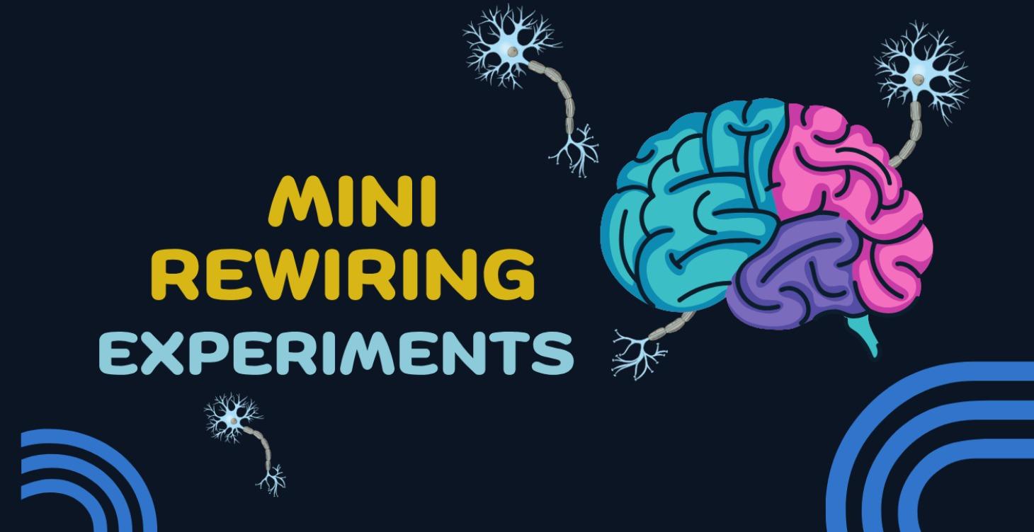 Mini Rewiring Experiments
