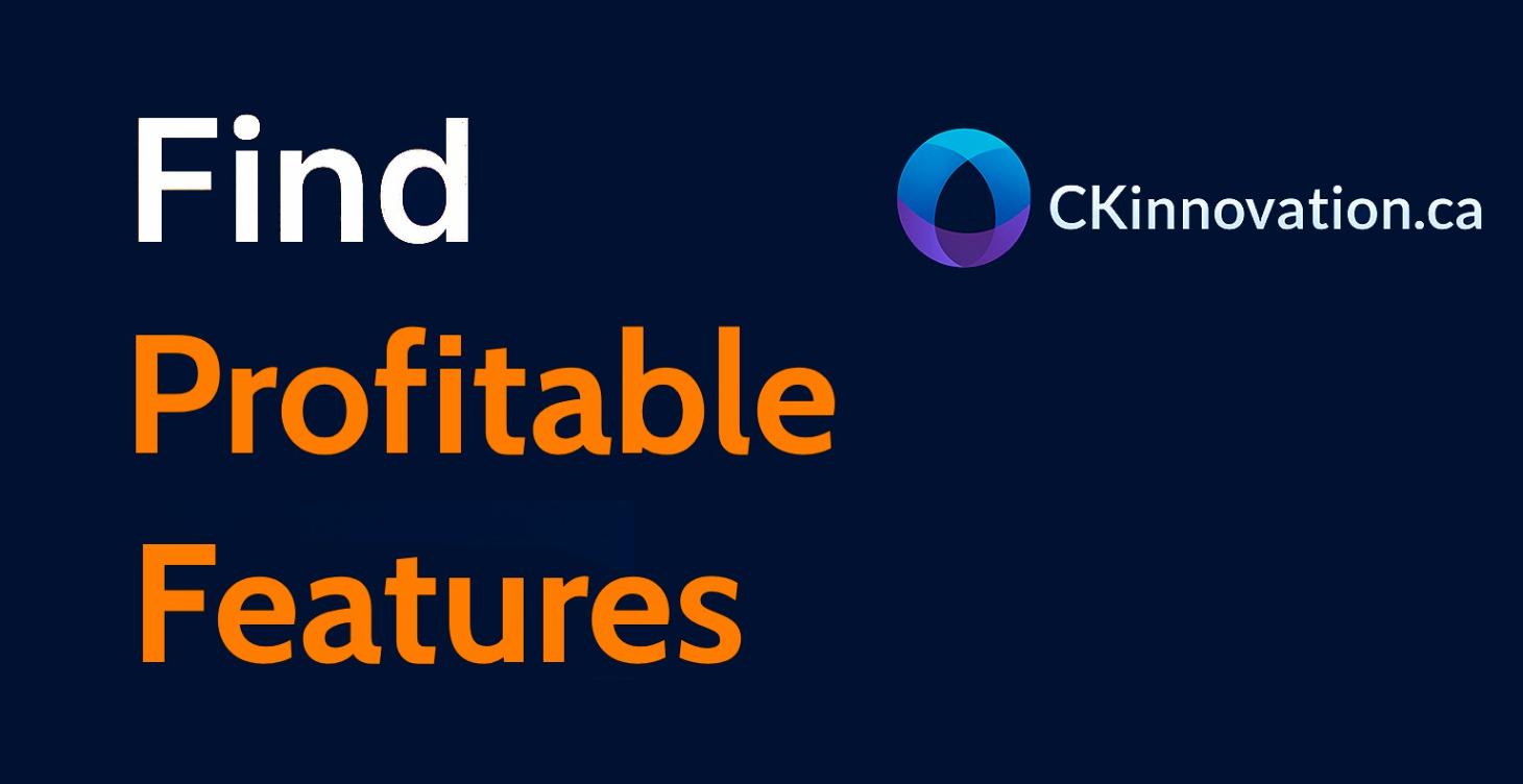 How To Find Profitable Business Features