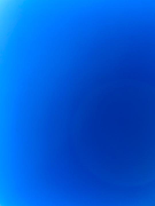 María Fernández Romero