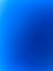 María Fernández Romero