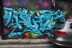 Zander C