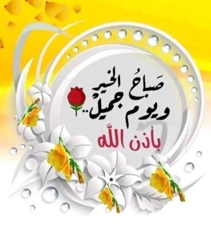 Labsir Mahmoud