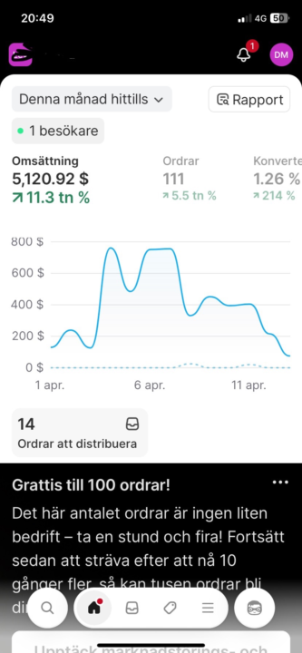 Går i 9an