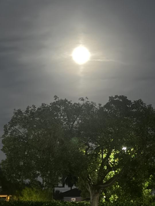 Happy Thursday evening everyone 