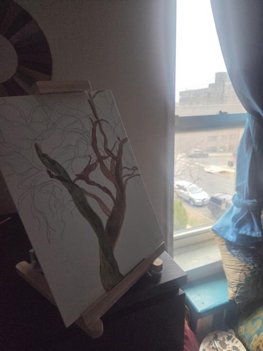 Bare Beautiful Branches, farewell Winter