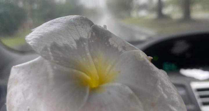 Live in the moment ✨