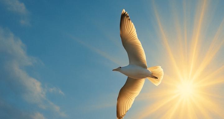 Healing in Relationships