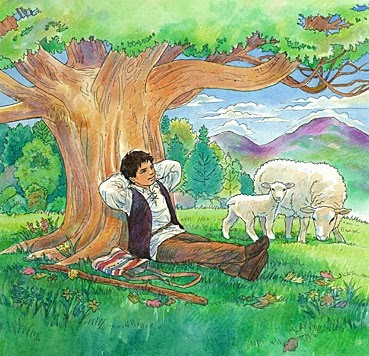 Steve Lui