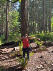 Aly-Shah Diyallah Jamal