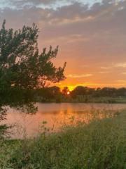 𝒜𝓃𝒶 ℒ𝒶𝓈𝓈𝒶𝓁𝓁ℯ