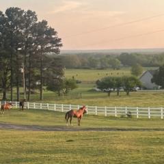 𝒜𝓃𝒶 ℒ𝒶𝓈𝓈𝒶𝓁𝓁ℯ