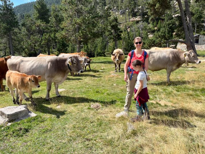 Annette Wiesner-Albat