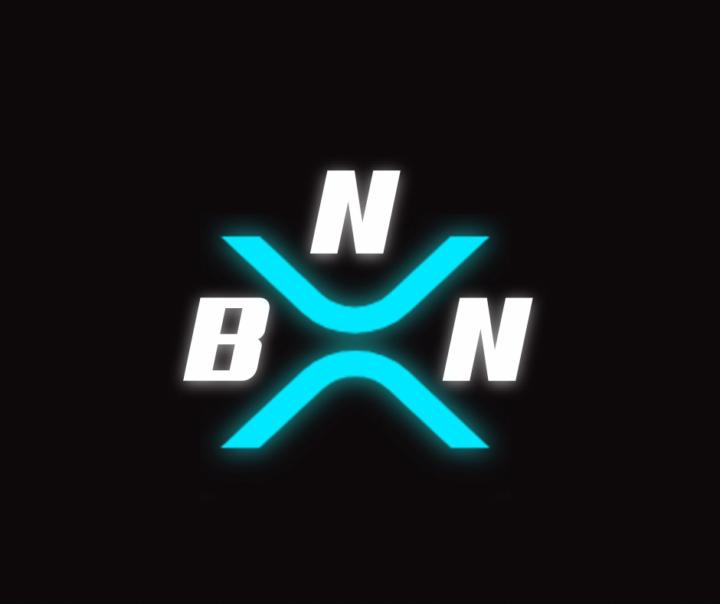 BlockNation Network