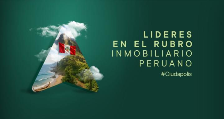 Network Real Estate Franquicia