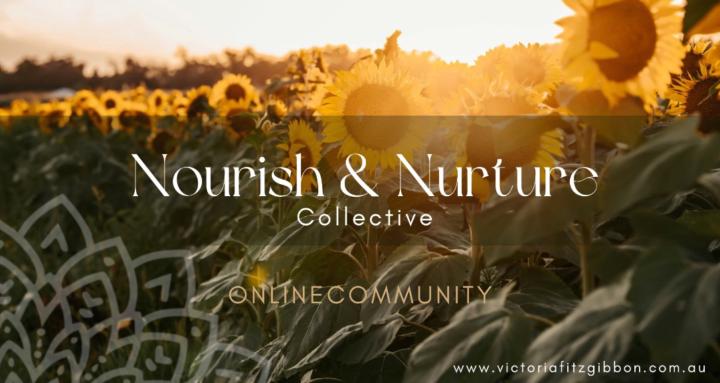 Nourish & Nurture Collective