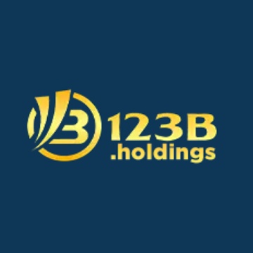 B Holdings