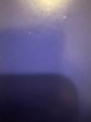 Alessandro Ghizzardi