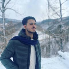 Mirko Vizza