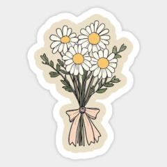 Aicha Ait-alla-ahmed