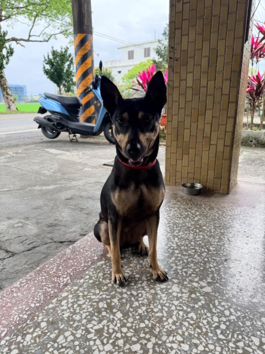 Kuan Kuan