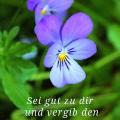 Hildegard Starlinger