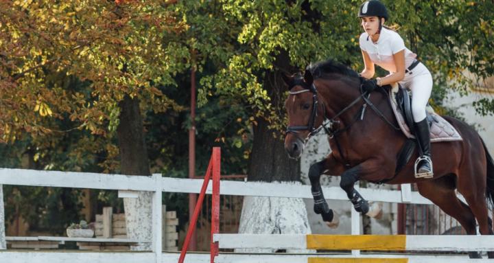 Préparation mentale équitation
