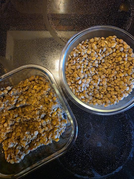 🌱 Tidbit Tuesday — Let's Talk Lentils. The Most Underrated Thing In Your Pantry.